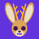 jackalope