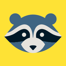 raccoon