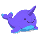 narwhal
