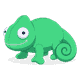 chameleon