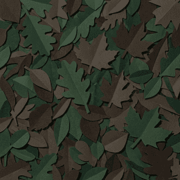 floor-canopy