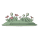 groundcover