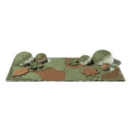 groundcover