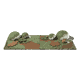 groundcover