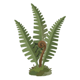 flora