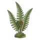flora