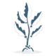 flora