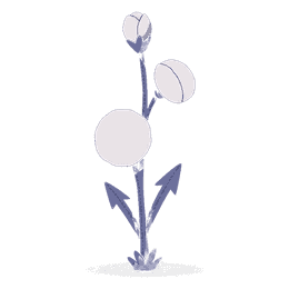 flora
