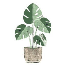 flora