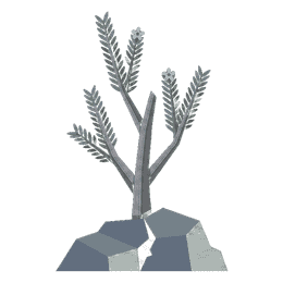 flora