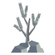 flora