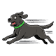 ella-dash