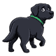 ella-tier1-whimper