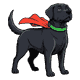 ella-tier5-cape