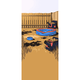 bg-backyard
