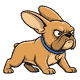 gizmo-dash