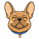 face-smug