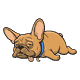 gizmo-tier0-flop