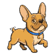 gizmo-tier3-strut