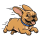 gizmo-tier4-zoom