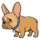 Gizmo standing FULL BODY side-on, head hung low, ears drooping, tail down, eyes wet and sad, utterly dejected