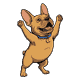 Gizmo standing FULL BODY on his back legs with both front paws thrown up in triumph, mouth open in a joyful howl