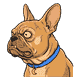 Gizmo head and shoulders side-on, utterly feral, eyes bulging and BLOODSHOT RED, veins on the muzzle, teeth clenched to breaking