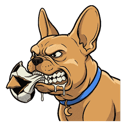 Gizmo with a punctured soccer ball gripped in his jaws, one leather flap torn loose, snarling, eyes hard, drool running
