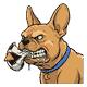 Gizmo with a punctured soccer ball gripped in his jaws, one leather flap torn loose, snarling, eyes hard, drool running