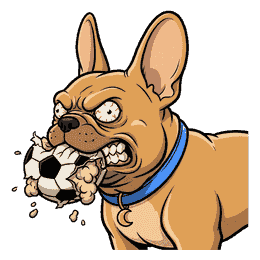 Gizmo with a shredded soccer ball gripped in his jaws, half its panels gone and stuffing hanging out, eyes wide and bloodshot, drool flying