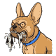 Gizmo with a destroyed soccer ball gripped in his jaws, a flat rag of leather, utterly feral, eyes bulging and glowing red, drool everywhere